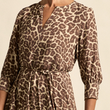 Scene Dress