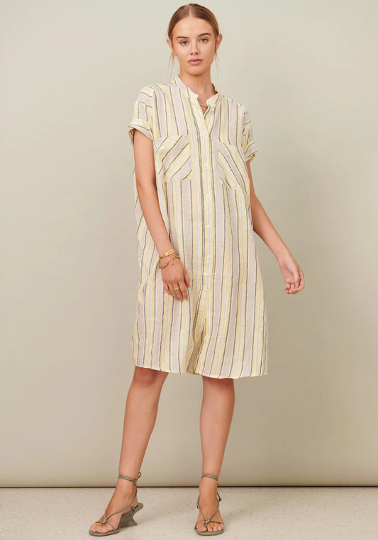 Serena Shirt Dress in Stripe